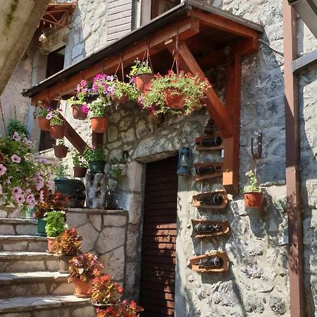 Aleksa Guest House Cetinje Exterior photo