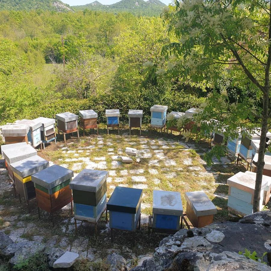 Aleksa Guest House Cetinje Exterior photo